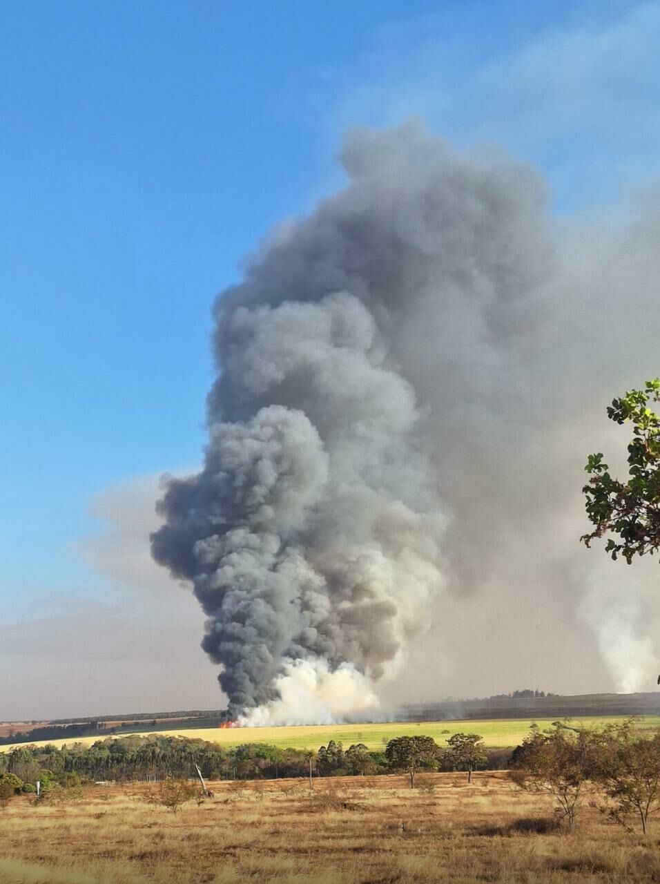 Imagem de compartilhamento para o artigo Produtores rurais e moradores de Costa Rica clamam por socorro e urgência na ação e prevenção contra incêndios anuais da MS Todo dia